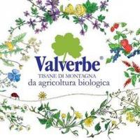 TISANE VALVERBE BIO